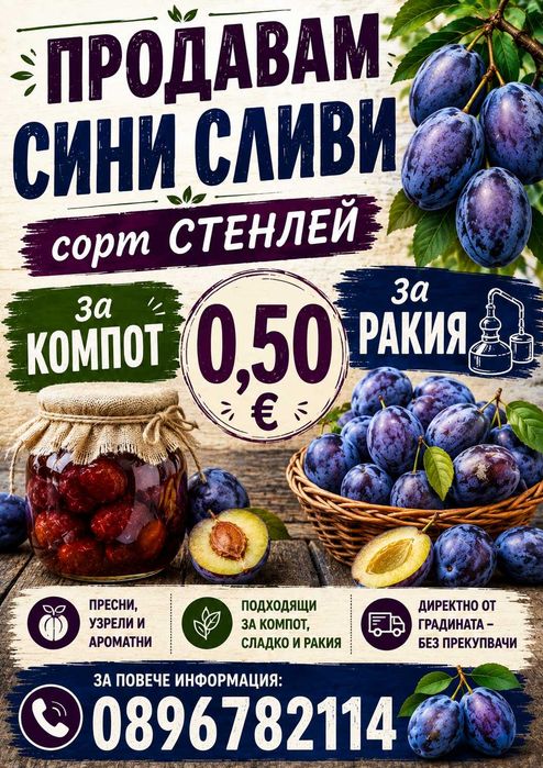 Сини сливи сорт Стенлей