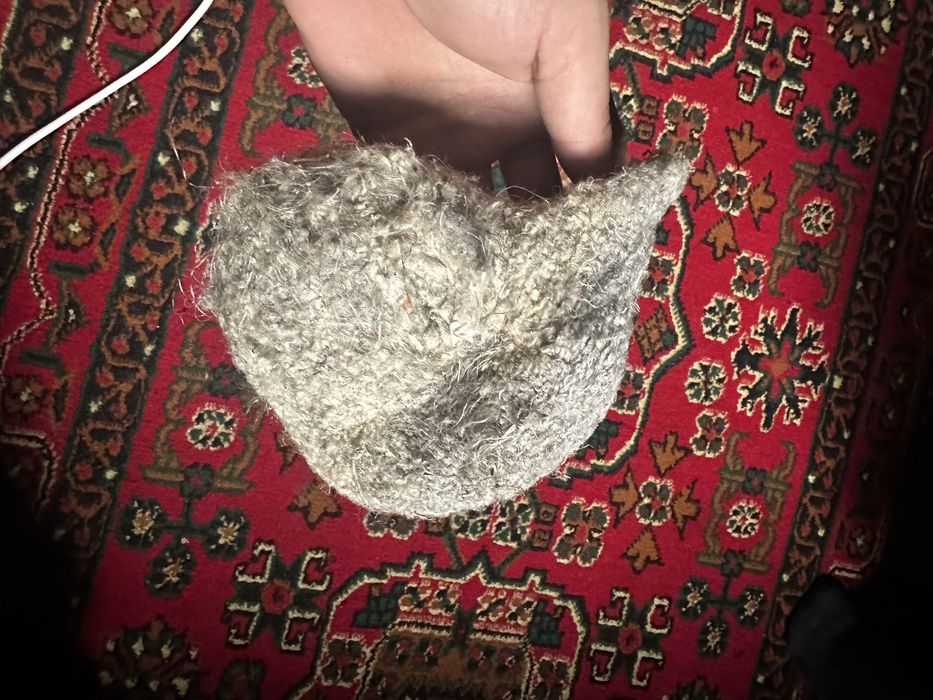 Құрқылтайдың ұясы . Гнездо ремеза