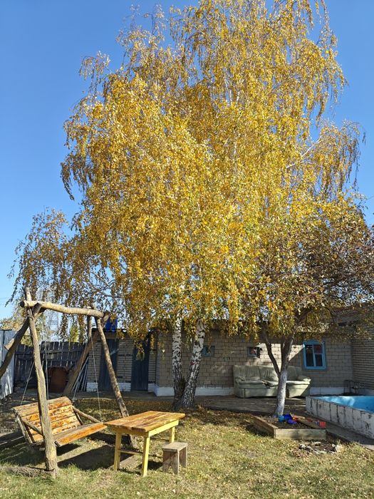 Продам дачу общ.2.