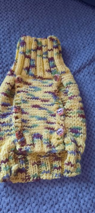 Свитер для любимого питомца