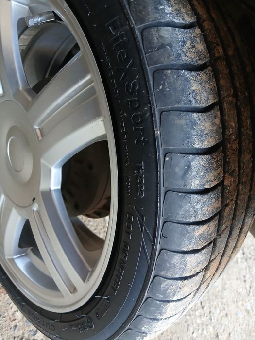 Торус жағдайы жақсы