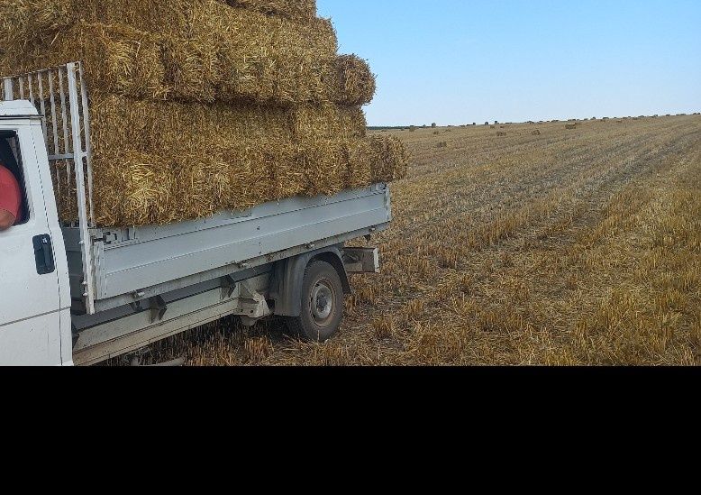 Продавам бус фият дукато (fiat ducato)