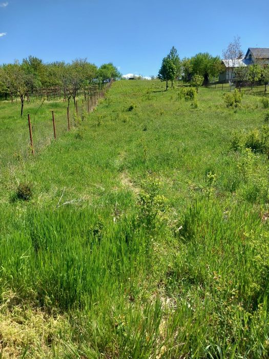De vanzare in Beius, 28€/mp