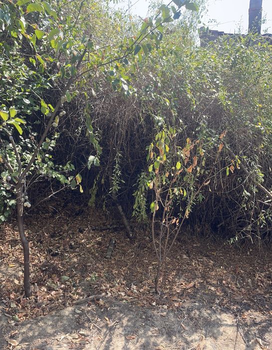 Продава се Къща в Оряхово - 89 кв.м за 201 €/кв.м - Снимка #1