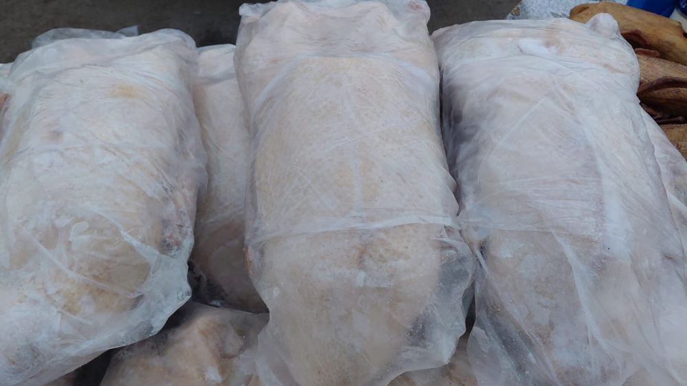 Поодам домашних гусей  без пеньков белые жирные густ