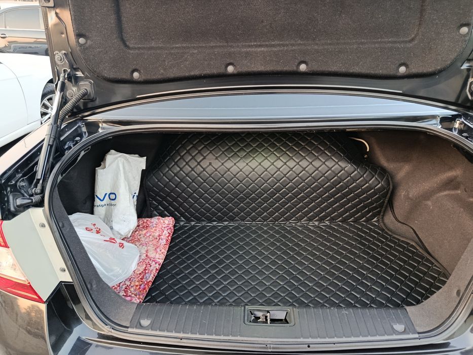 Epica sasteyanisi zur