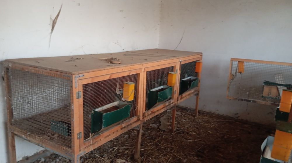 Вольер сотилади куен ва товук учун