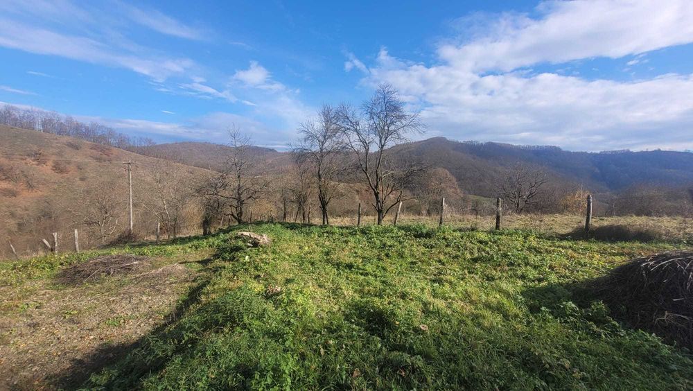 Vanzare teren in Judetul Hunedoara (cu casa)