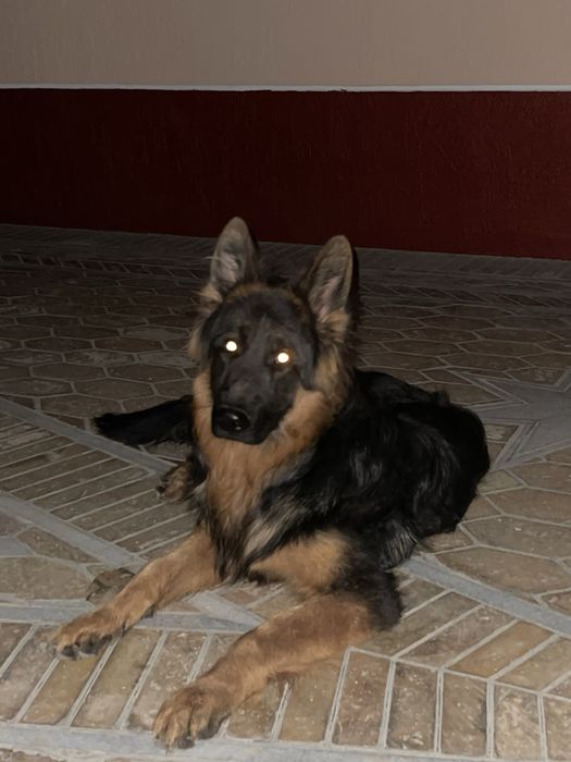 Ищем девучку для вязки мальчику 3 года