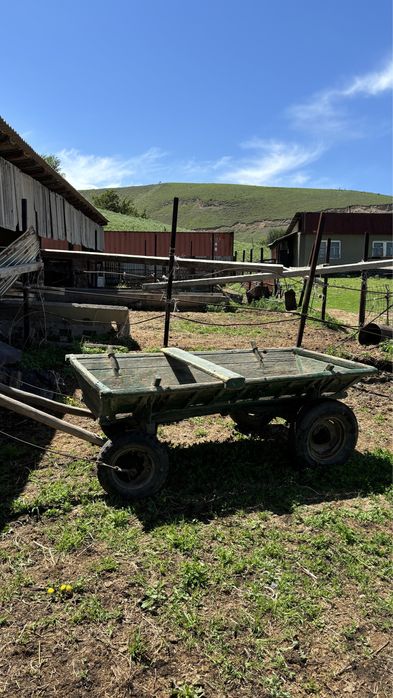 Продам бричку в комплекте,ат арба сатылады