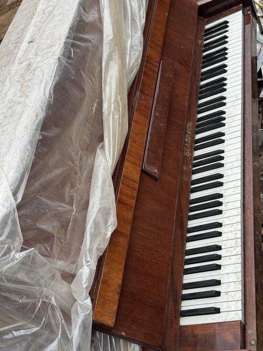 Pianino ideal Belarus