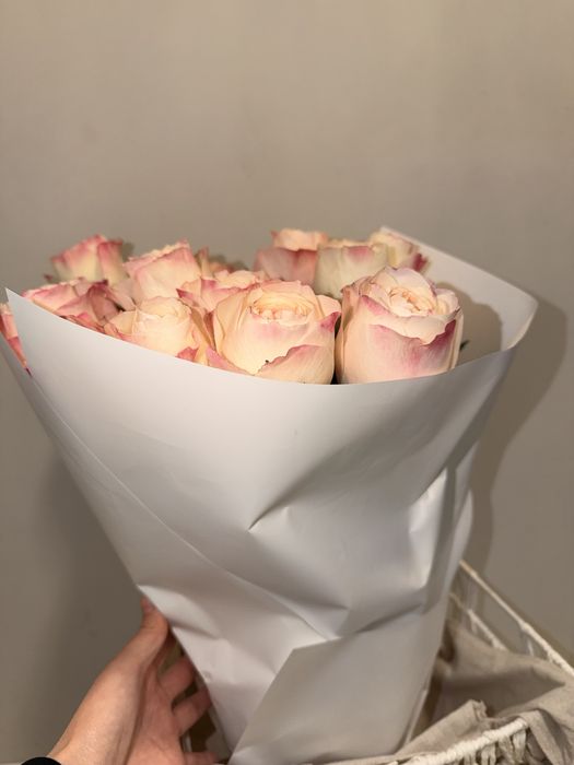 Свежиие красивые