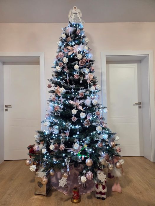 Vând brad 2,5 metri