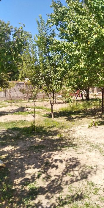 Yer sotiladi, oqtosh Soyliq