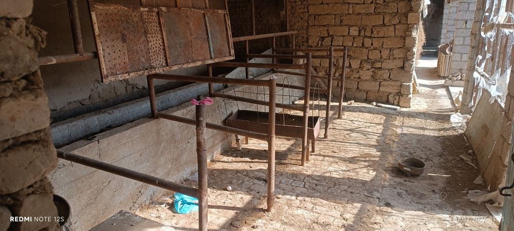 Жума Янгиобод МФИда 14 сотих Уй сотилади