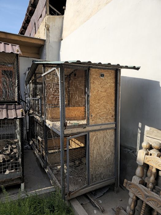 Tovuq, Qush qafas mataldan 
90x90 dan 6 ta katagi bo