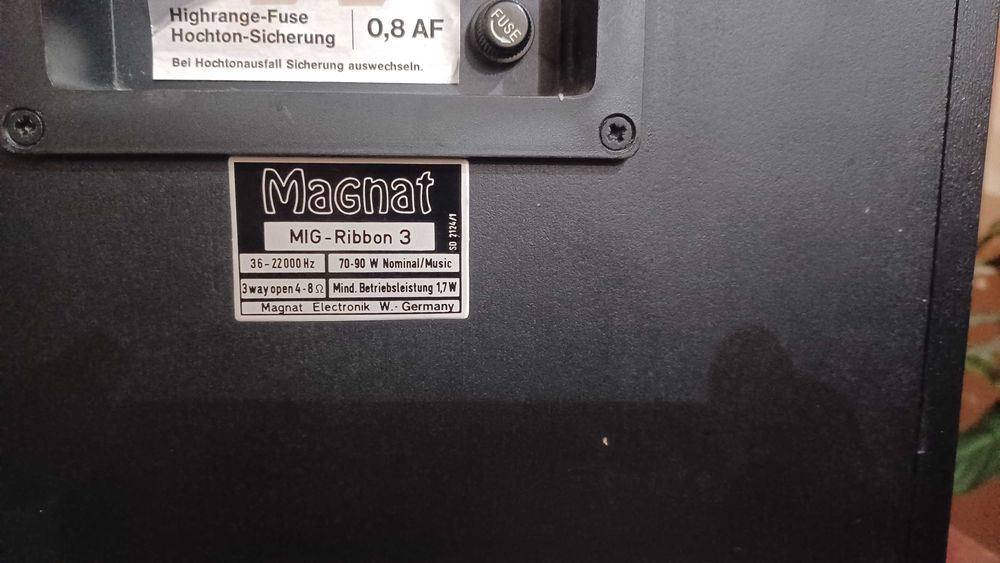 Boxe Magnat Mig-ribbon 3