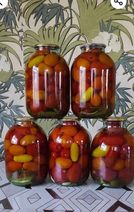 Соление 2025 года