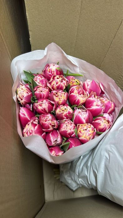 Тюльпаны в розницу 700 тг