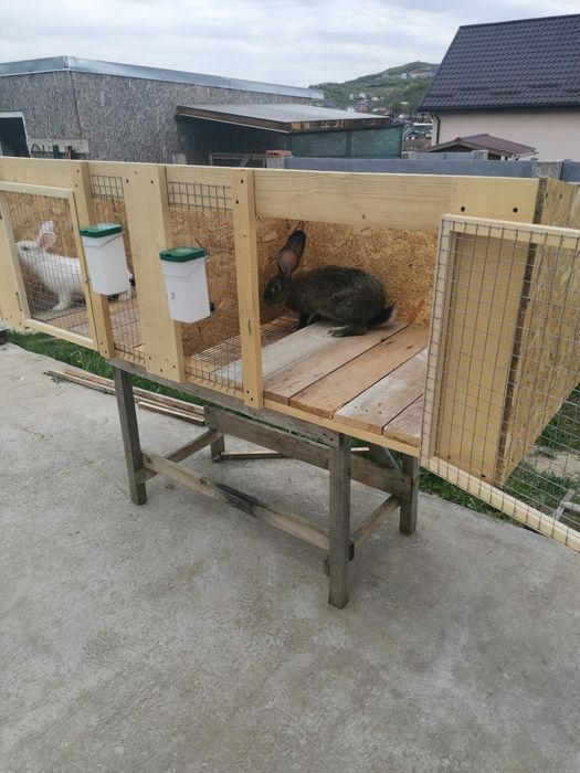 Cuști duble de iepuri, noi.