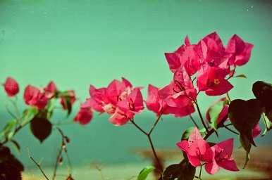 Ap.foto Minolta Dinax 404si+Obiectiv Minolta AF Zoom 28-80mm -ieftin