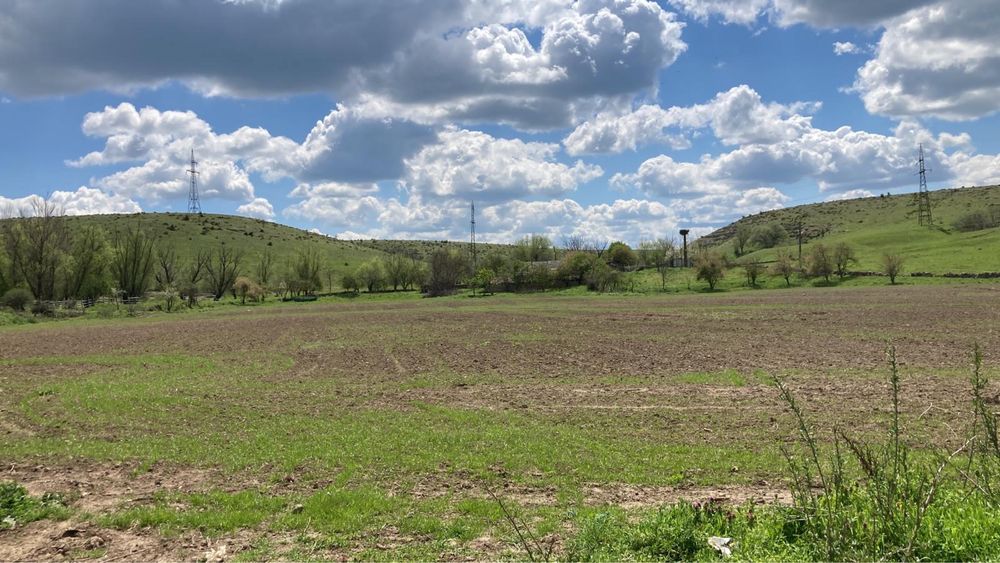 Casa si doua hectare intravilan