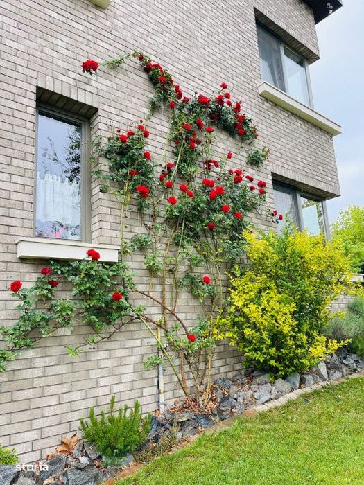 Casa individuala l la cheie l 177 mp utili l 535 mp teren