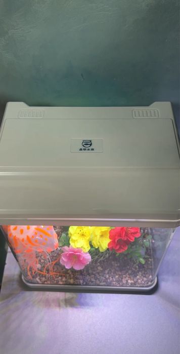 Аквариум 10 л для петушка (Betta)