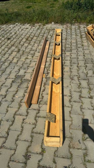 Scandura,cherestea brad