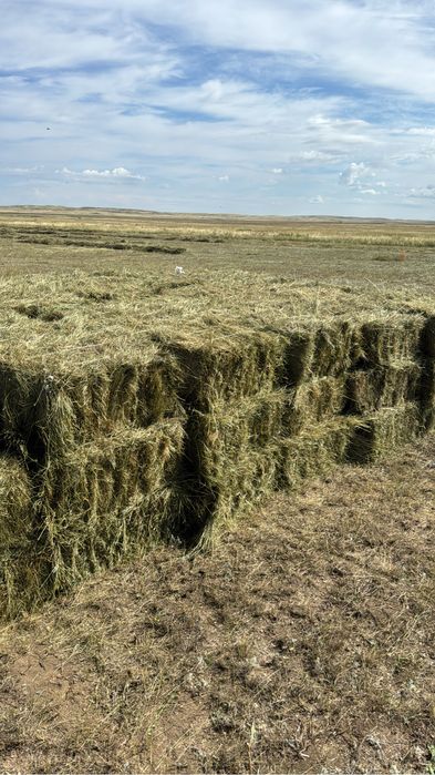 Первый укос сено(тюки,рулоны)