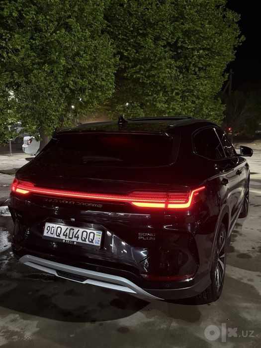 BYD Chempion Gibrid