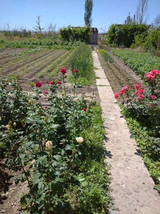 Продается дача срочно