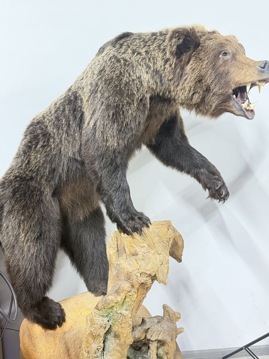 Чучело медведя в идеале