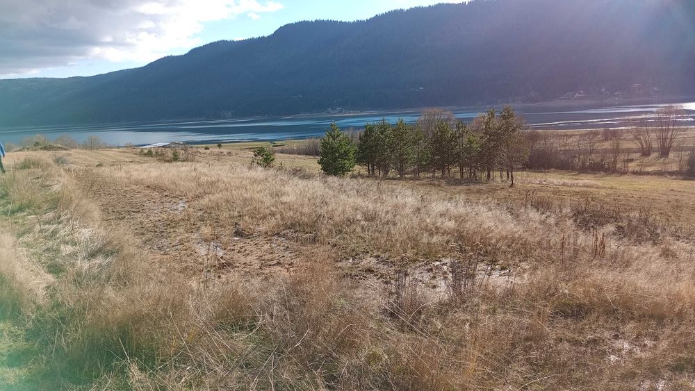 Земеделска земя гр.Сърница Родопите