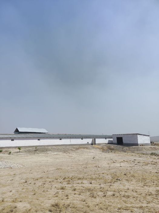 Broller boqiladigan tovuqhona sotiladi