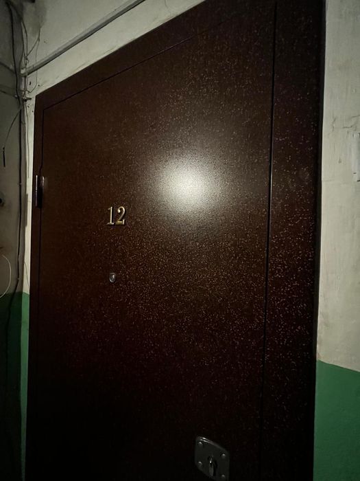 Дверь железная входная.