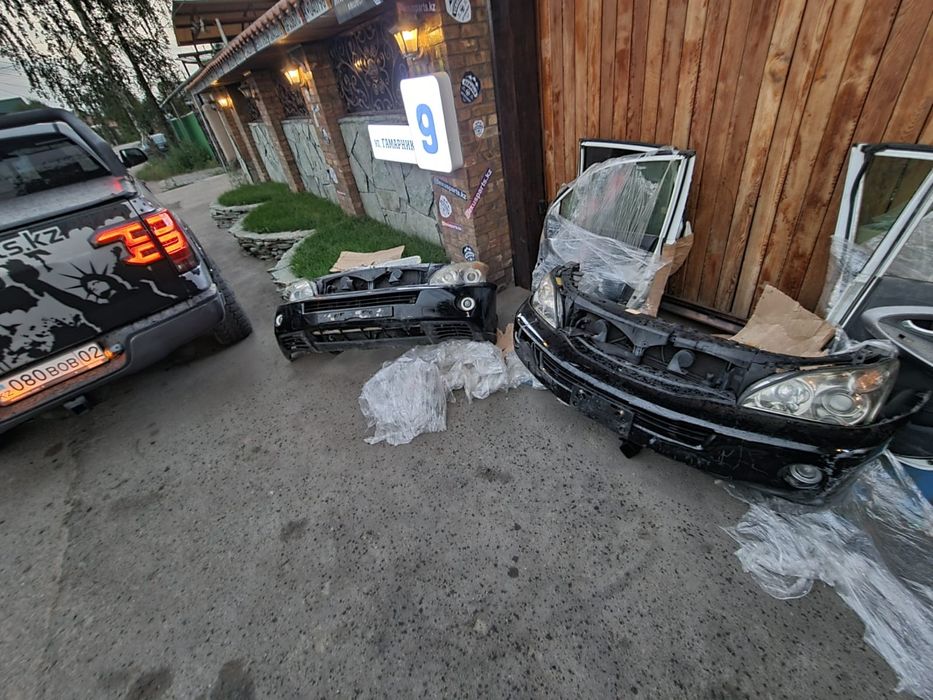 Ноускат I Морда Rx400h