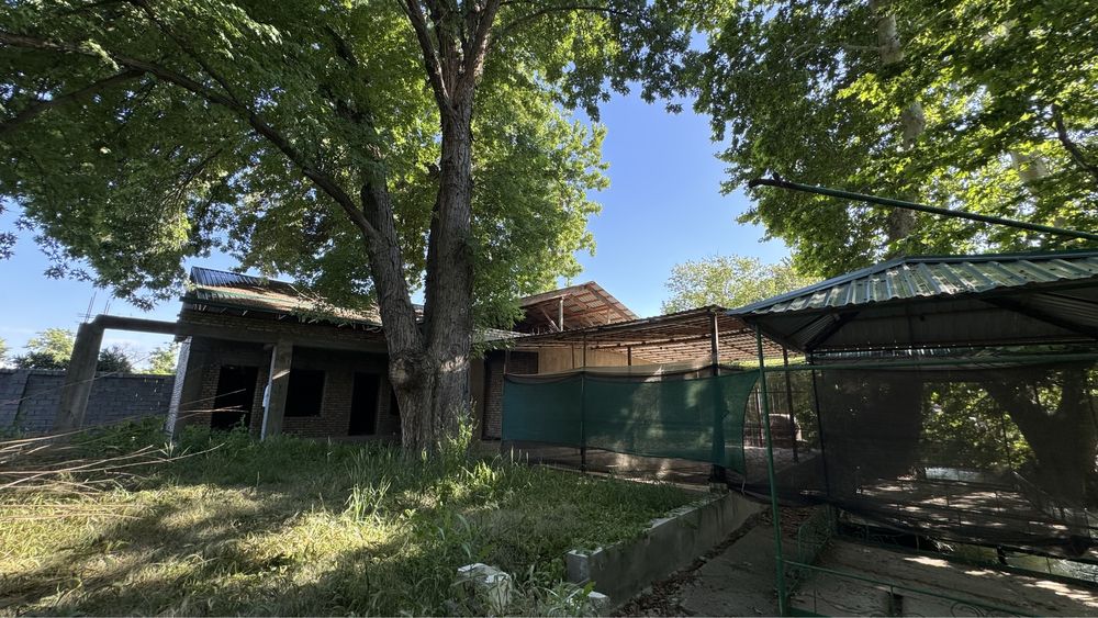 Tadbirkorlik uchun suv boyida 5,4 sotix joy sotiladi  !