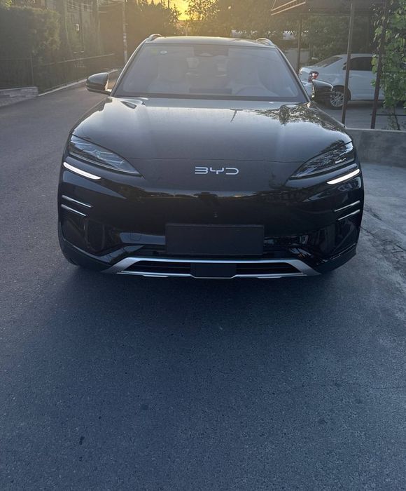 BYD Chempion 2025