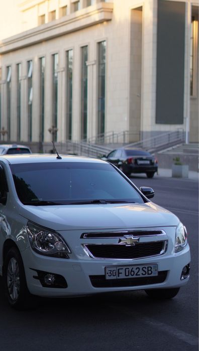Cobalt ideal polniy navarot
