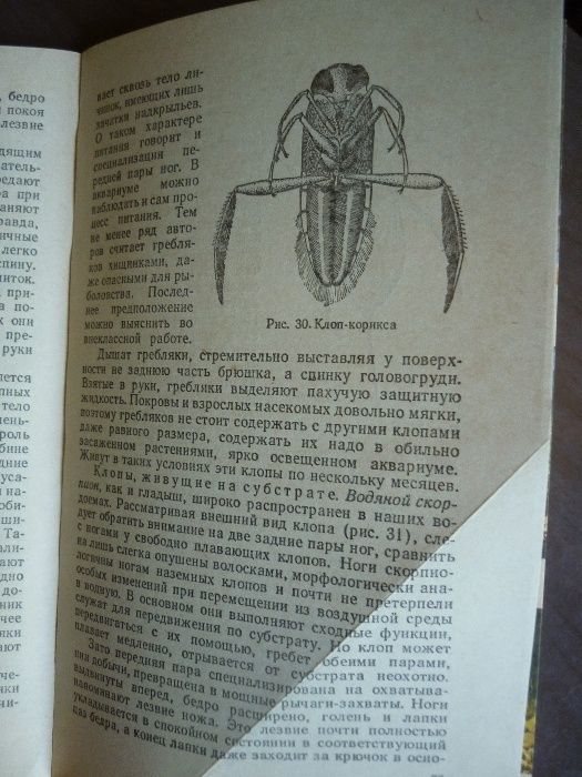 Продам книгу Аквариум в школе Набор открыток  Мир аквариума СССР