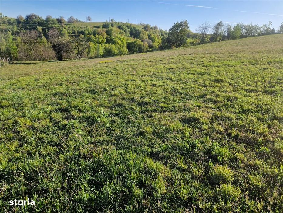 RECO, teren intravilan, Zona Sinteu, Bihor