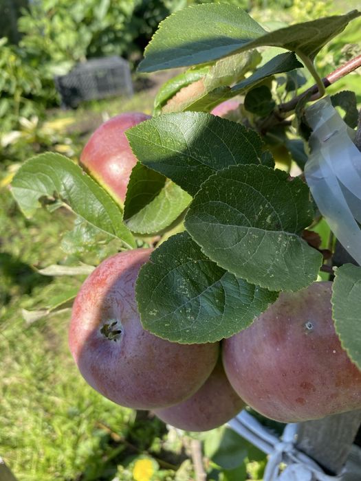 Продам  частный дом