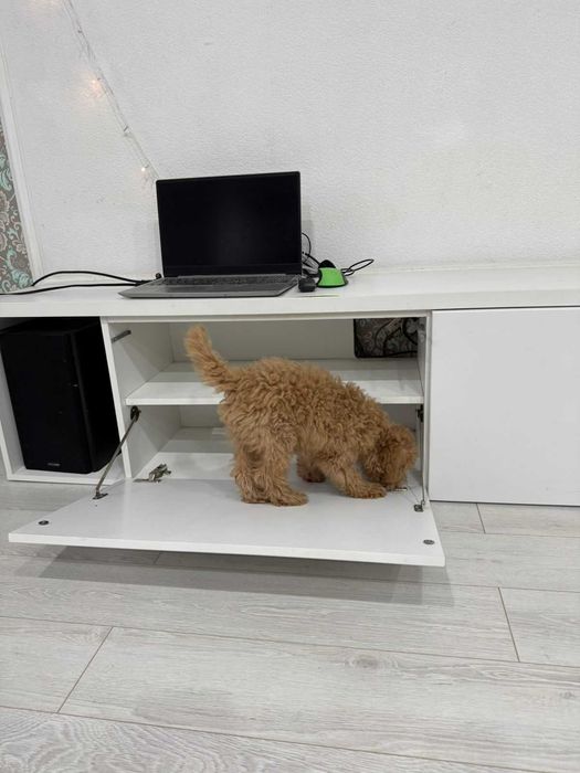 Тумба в гостиную или спальню