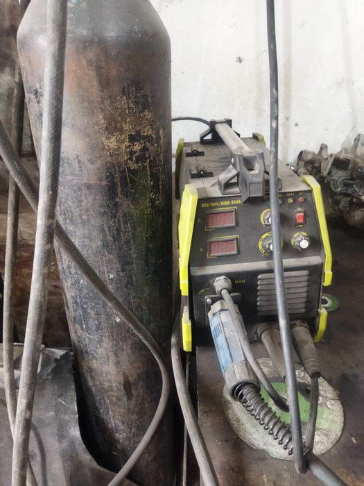 Kantachni sivarka kampilek