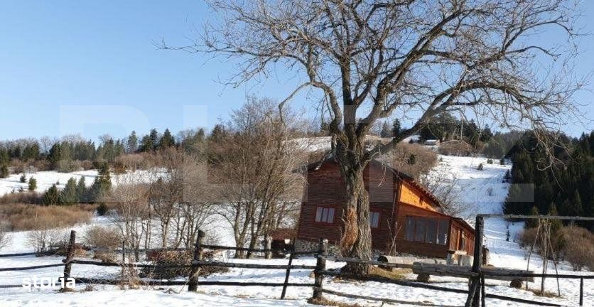 Teren de vanzare, destinatie constructii turistice, Bunloc, 7.300 mp