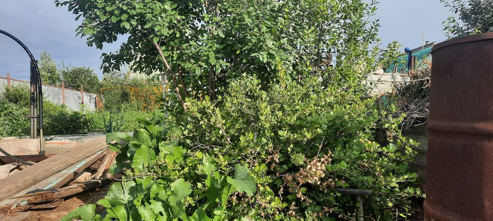 Продам дачный участок 6 соток