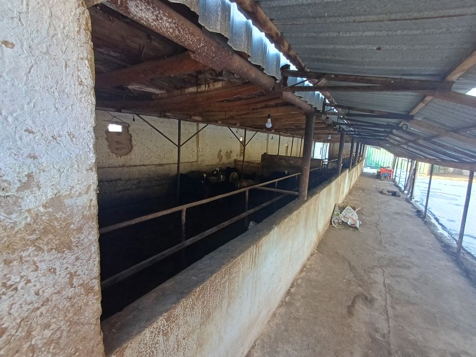 Продаётся участок 8 соток, 5 км от юнусабада.