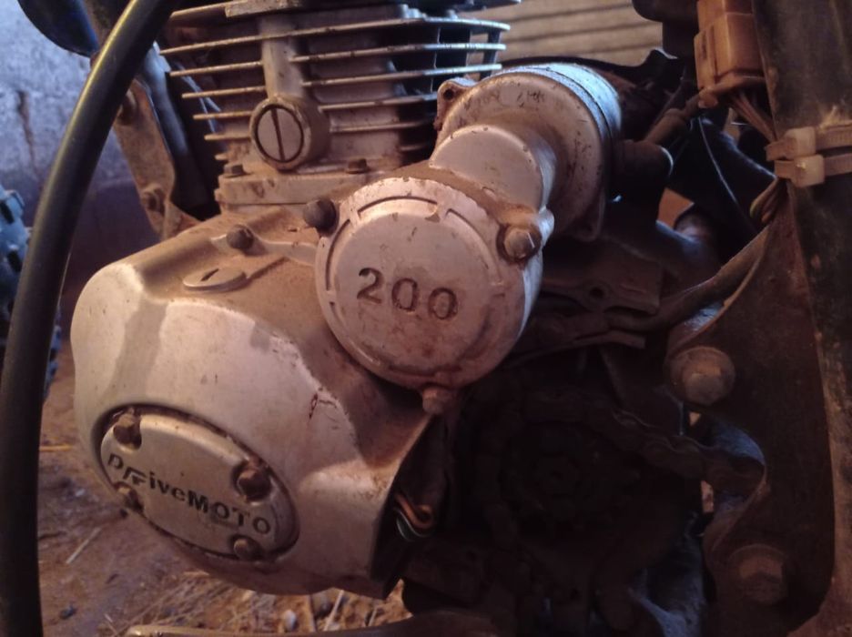 Vivo v25 pro оригинал