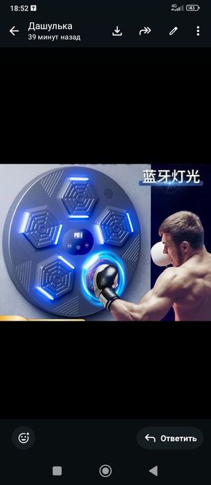 Настенная груша для битья